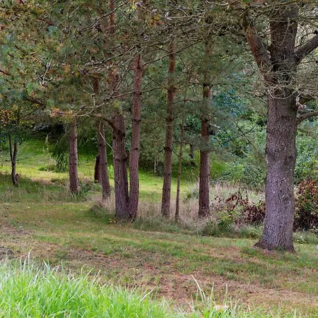 Cosy On A Large Hilly Natural Plot With Covered Terrace And Loft Close To Helgenaes Unique Landscape, Viewpoints And The Feriehus
